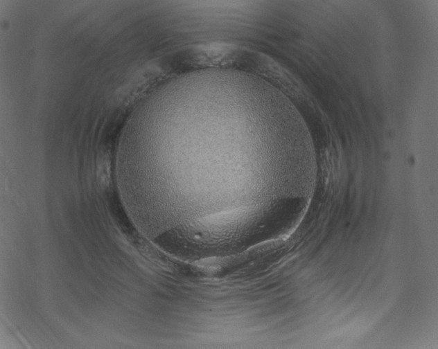 X0000070230602200605301457