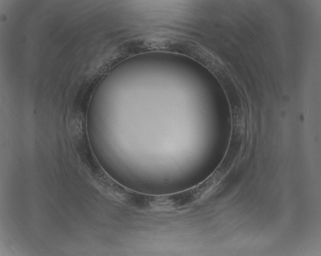 X0000070230603200605301457