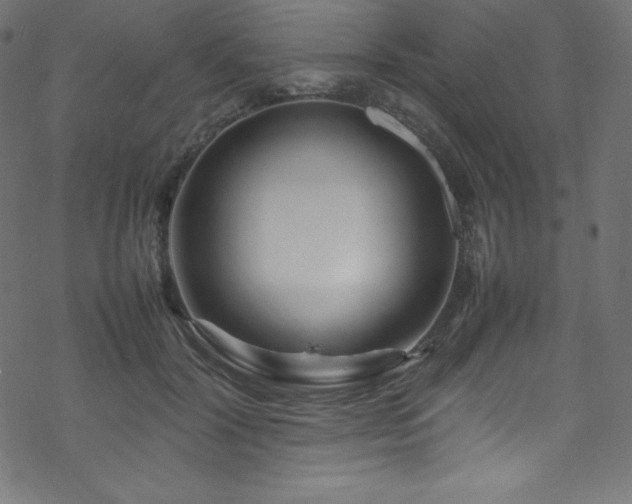 X0000070230604200605301457