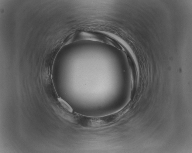 X0000070230605200605301457