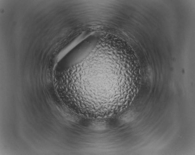 X0000070230606200605301457