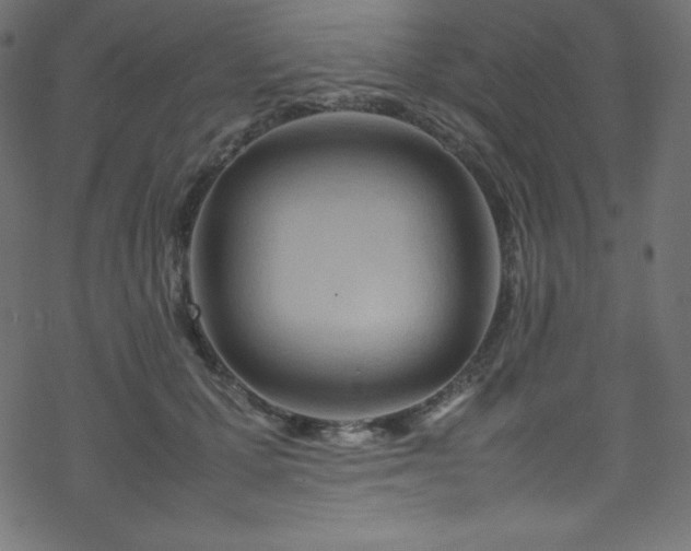 X0000070230607200605301457