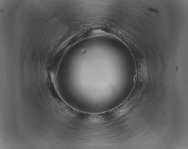 X0000070230608200605301457