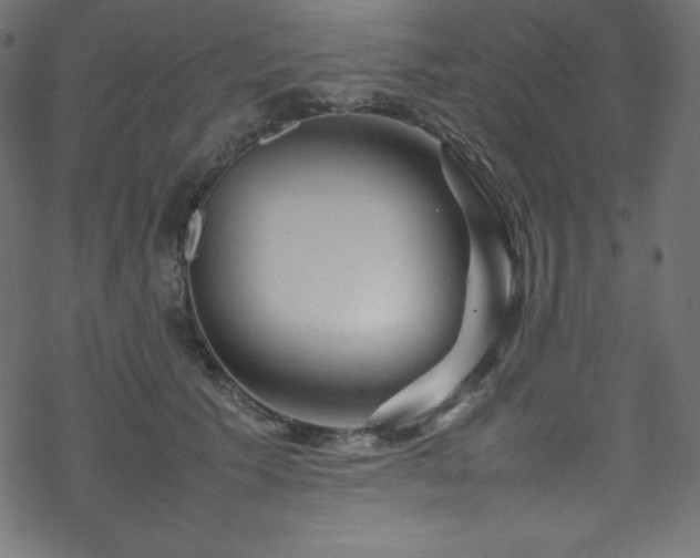 X0000070230609200605301457