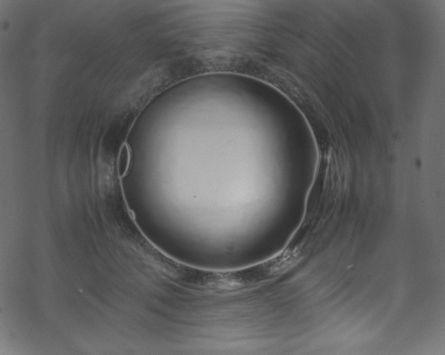 X0000070230610200605301457