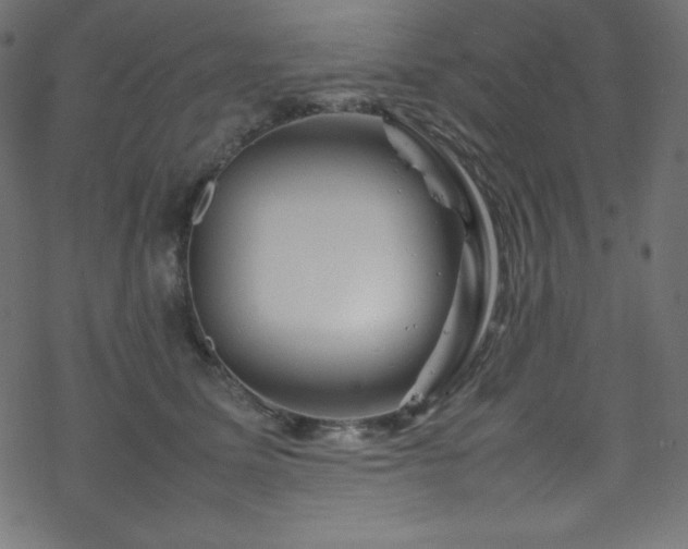 X0000070230611200605301457