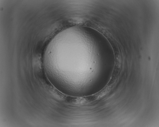 X0000070230612200605301457