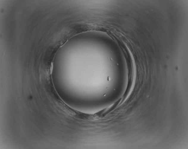 X0000070230613200605301457