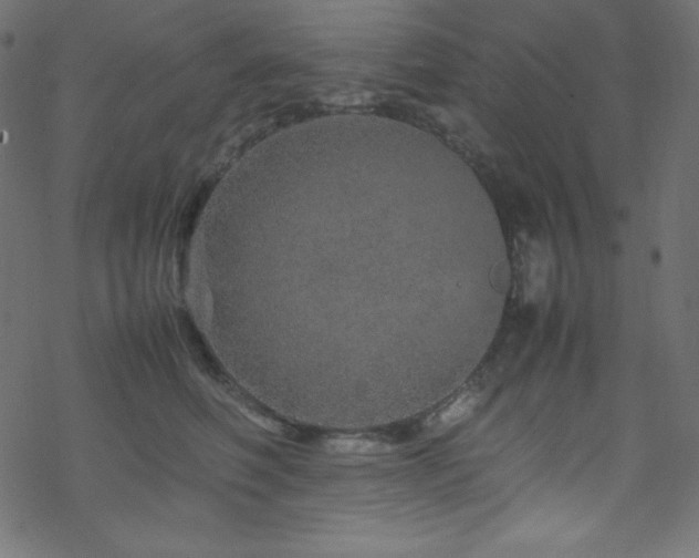 X0000070230614200605301457