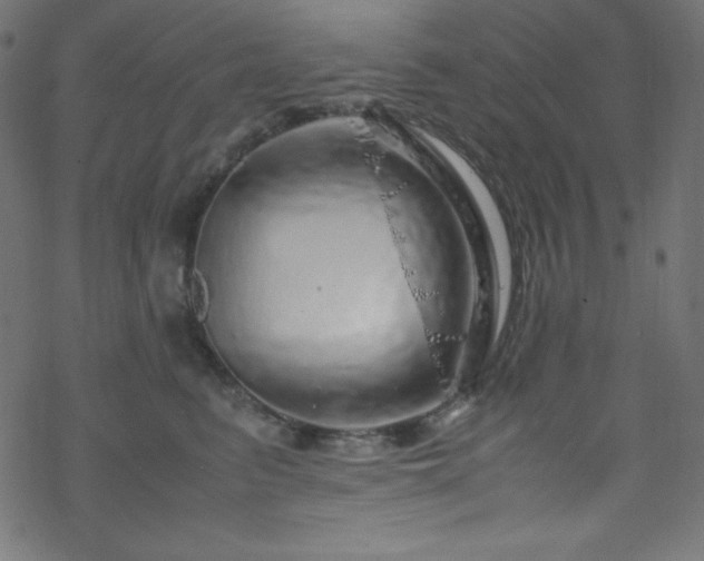 X0000070230615200605301457