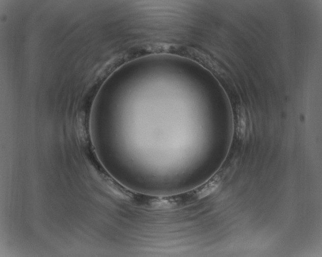 X0000070230616200605301457