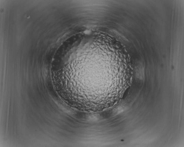 X0000070230618200605301457