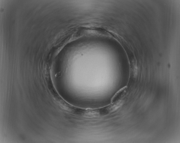 X0000070230619200605301457