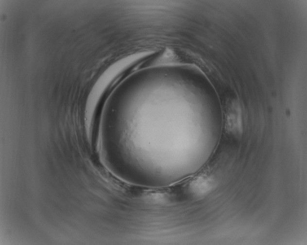 X0000070230620200605301457