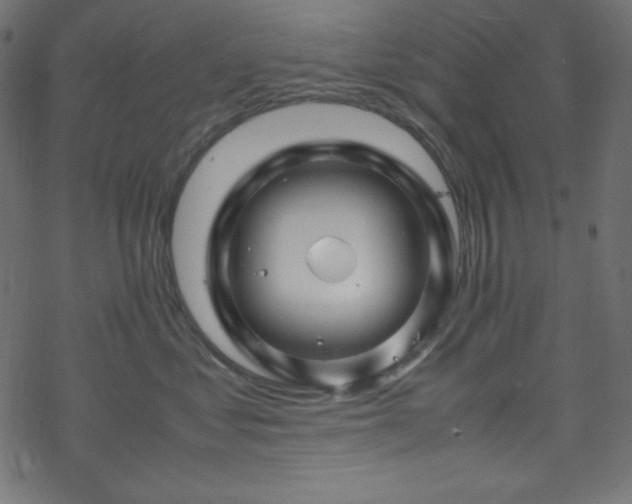 X0000070230621200605301457