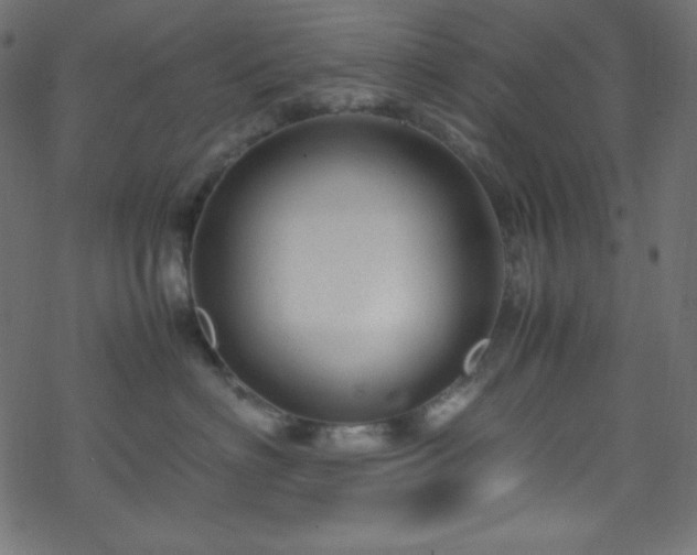 X0000070230622200605301457