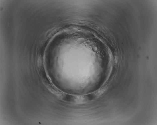 X0000070230623200605301457