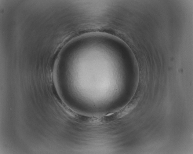 X0000070230624200605301457