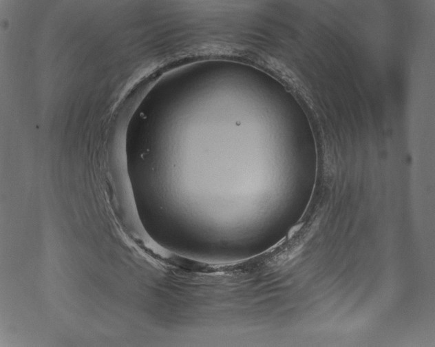 X0000070230625200605301456