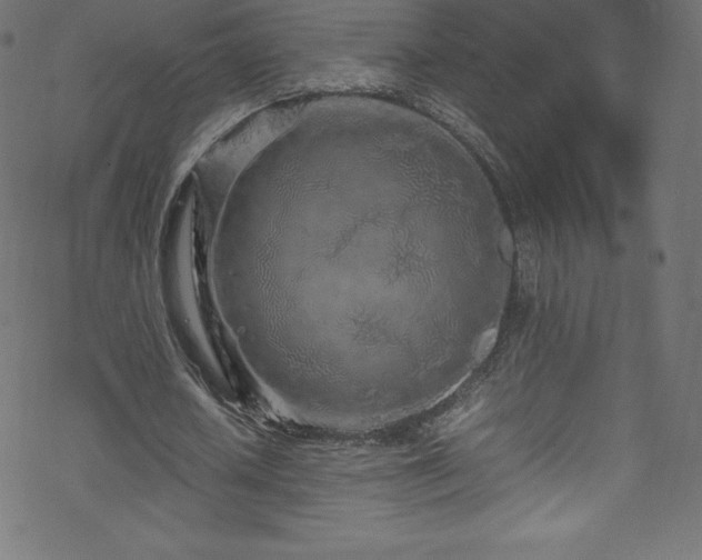 X0000070230626200605301456