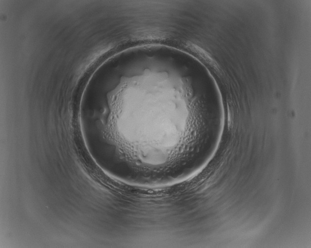 X0000070230627200605301456