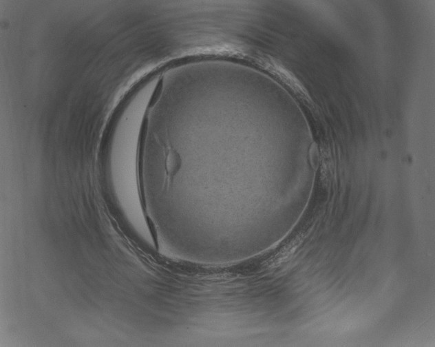 X0000070230628200605301456