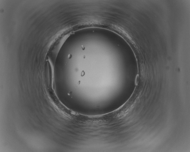 X0000070230629200605301456