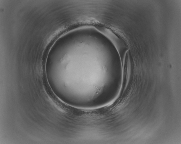 X0000070230630200605301456