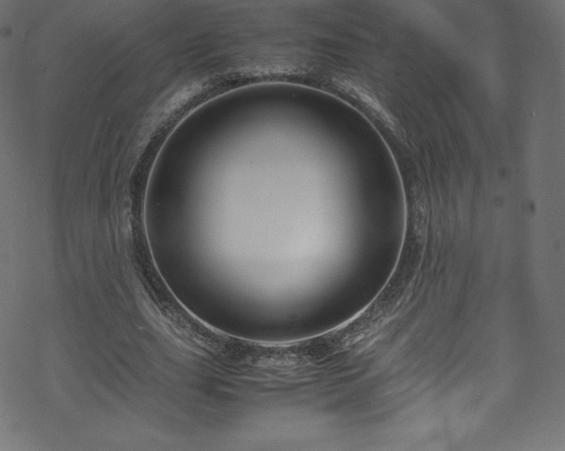 X0000070230631200605301456