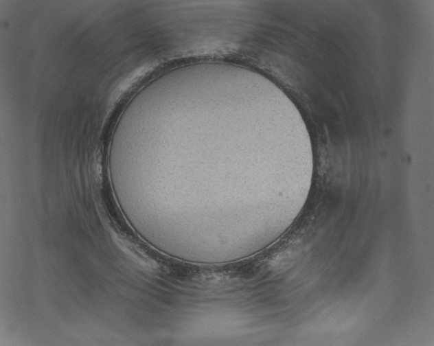 X0000070230632200605301456