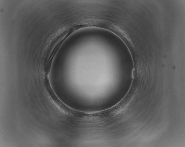 X0000070230633200605301456