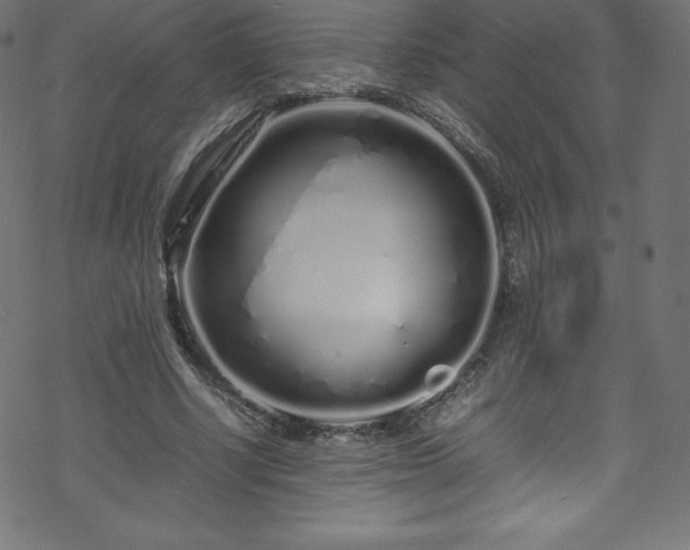 X0000070230634200605301456