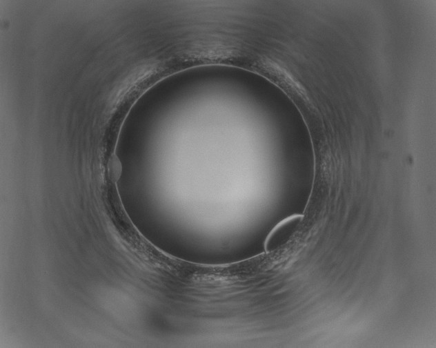 X0000070230635200605301456