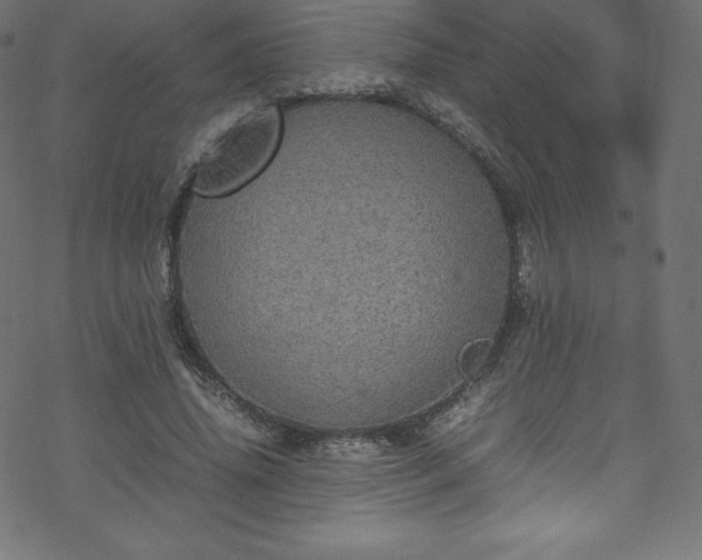 X0000070230636200605301456