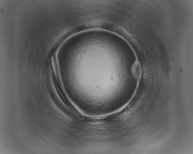 X0000070230637200605301456