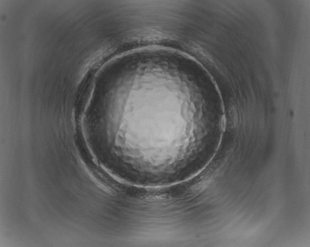 X0000070230638200605301456