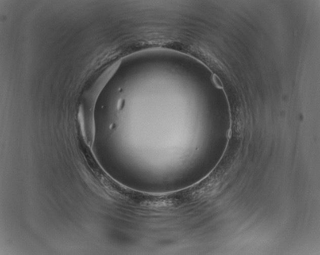 X0000070230639200605301456