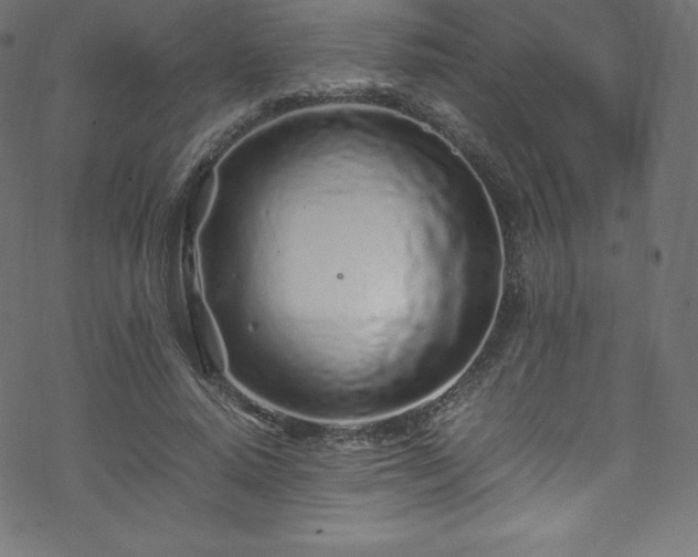 X0000070230640200605301456