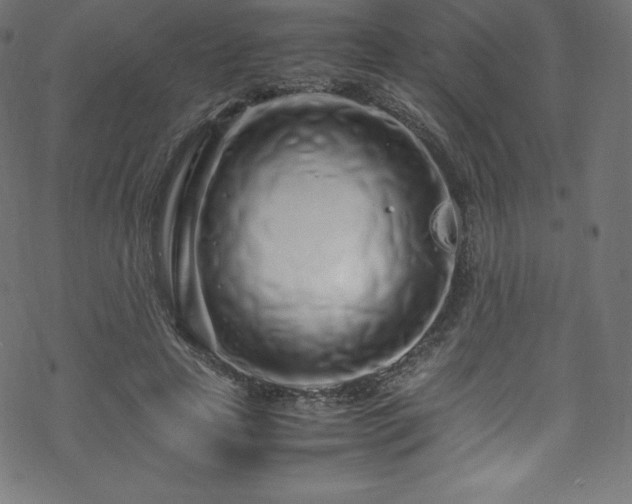 X0000070230641200605301456