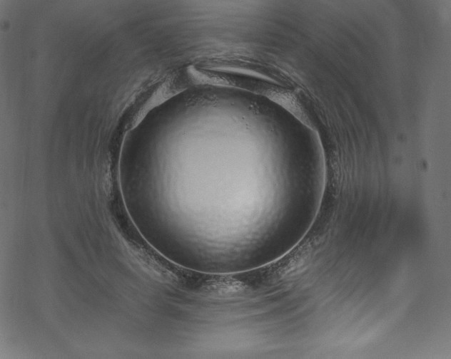 X0000070230642200605301456