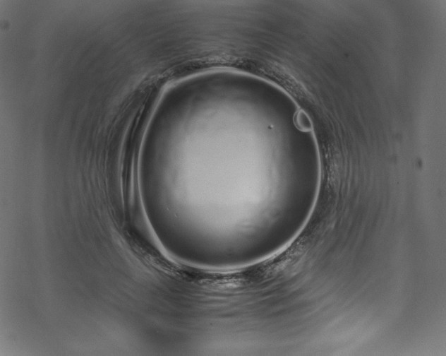 X0000070230643200605301456