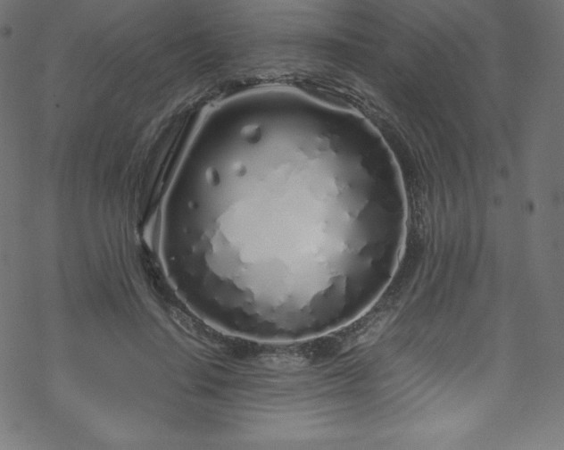 X0000070230644200605301456