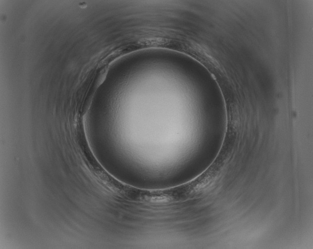 X0000070230645200605301456