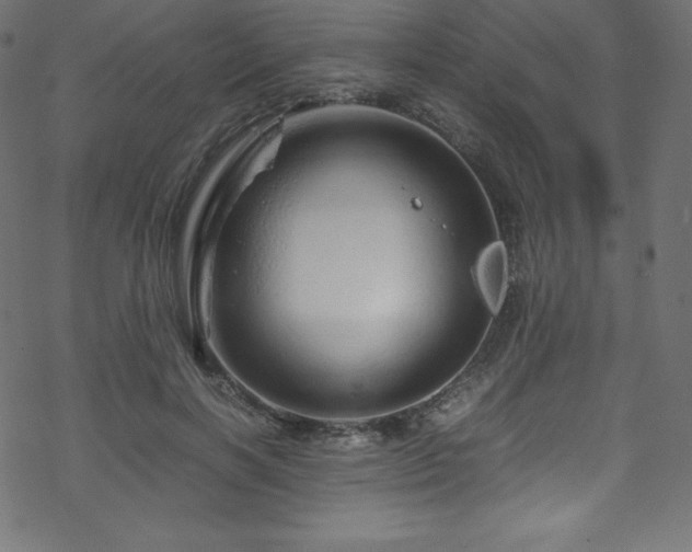 X0000070230646200605301456