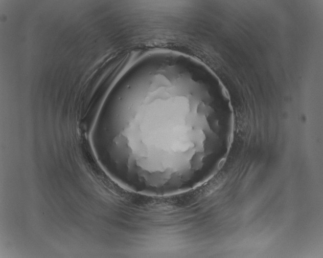 X0000070230648200605301457