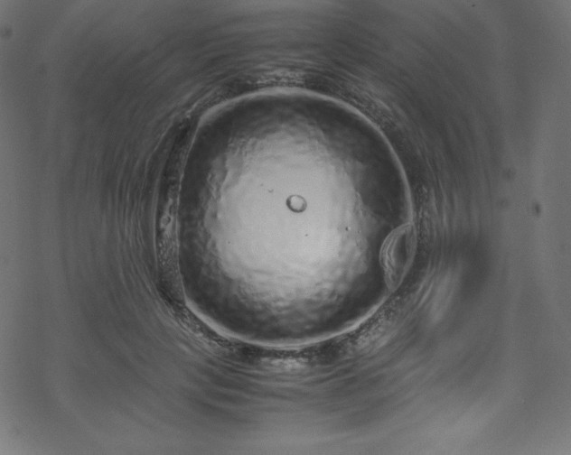 X0000070230649200605301457