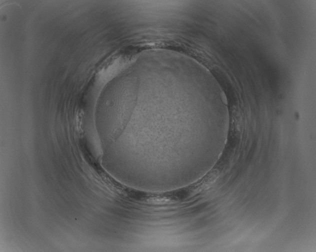 X0000070230650200605301457