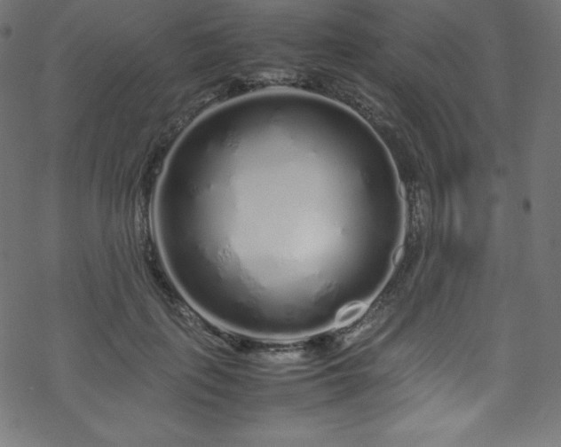 X0000070230651200605301457