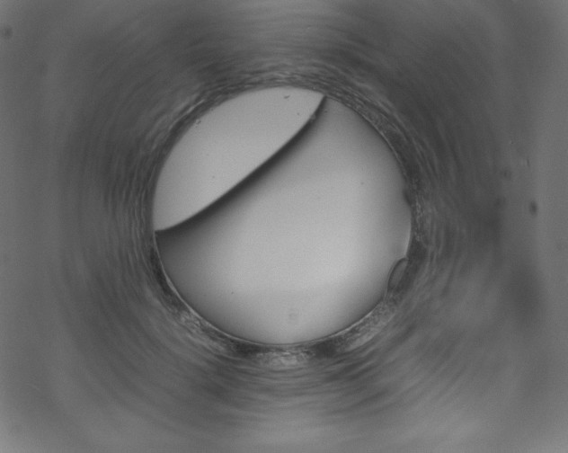 X0000070230652200605301457