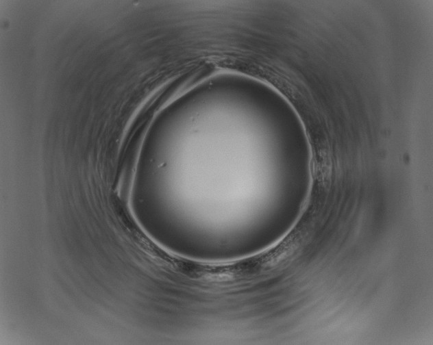 X0000070230653200605301457